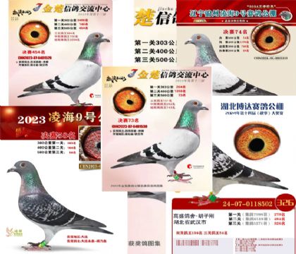 �����Ա���깫��ǰһ������