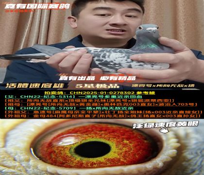 �������ٶ��ۡ�Ư����x�����޵�x������