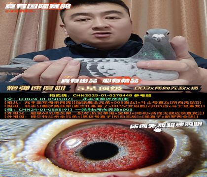 ��һ���ϰ���003x�����޵�x������