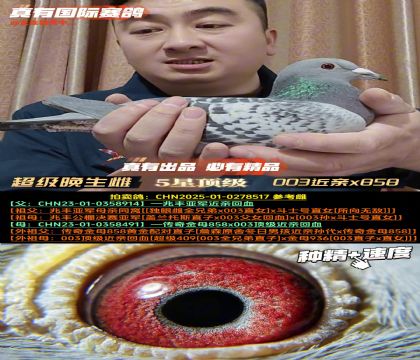 �����������ơ�003����x858