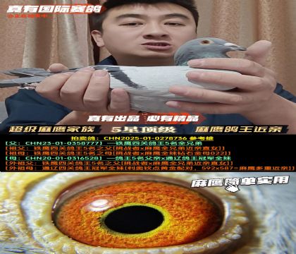 ��������ӥ���塷��ӥ�������׻�Ѫ