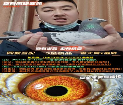 ��ͬԴ���䡷������x��ӥ