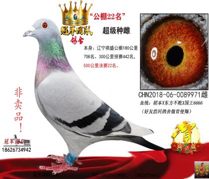 ����ĸ�������22��