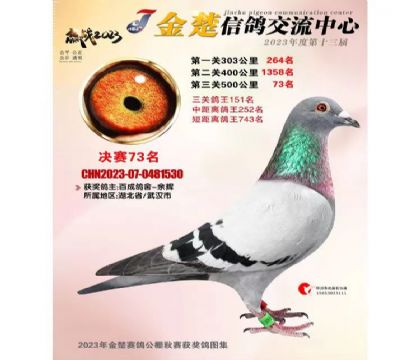 ֶ��֮һ�����λ����