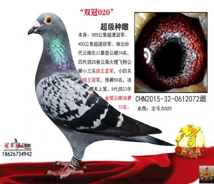 ĸ�ף�˫��020