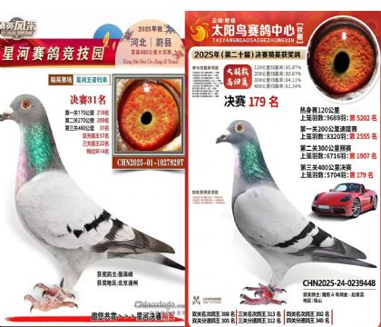 ƽ��������