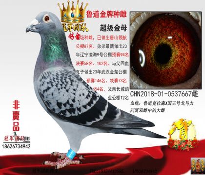 ĸ��-һ����ĸ