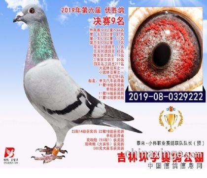 ĸ�ף��������9��