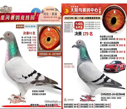 ����빫�����31