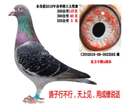 550����5������������x������