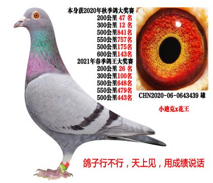 4��500���2��550���1��600����