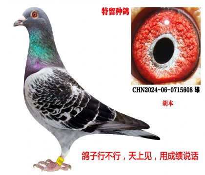 �����ָ루������