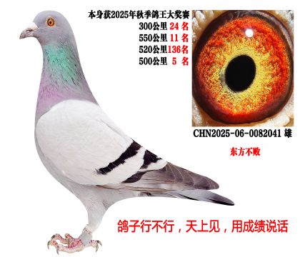 25����550����11����500����5�����������ܣ�