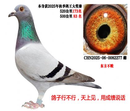 500����83�����������ܣ�