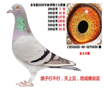 4��500�������7�����������ܣ�