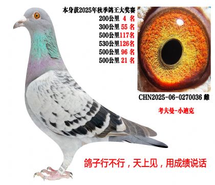 4��500�������4����������-С�Ͽˣ�