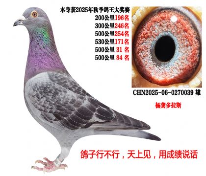 4��500�����λ�������˹0