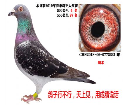 19�괺500����4����550����97����������