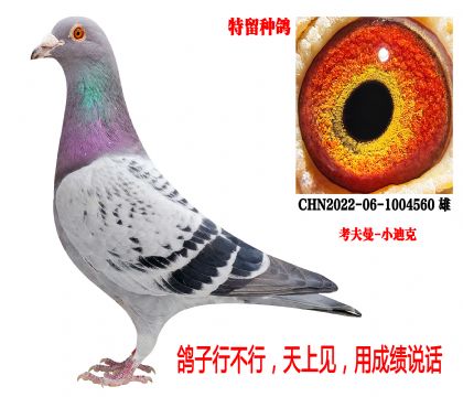 �����ָ루������-С�Ͽˣ�