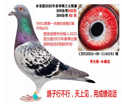 300����82���������ع飨������-С�Ͽˣ�