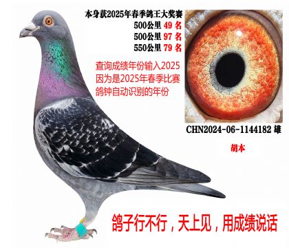 25�괺�����ض��ɸ�λ��������