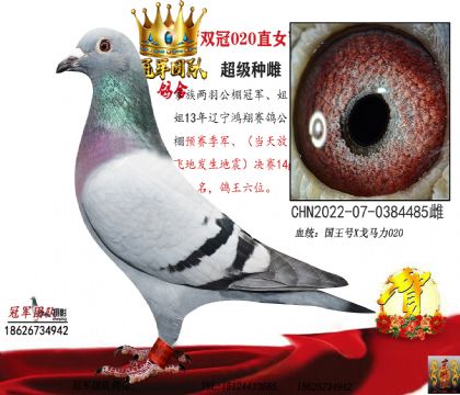 �Ƹ�ĸ�ף����＾������