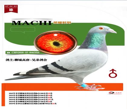 �������۱�����θ�λ��