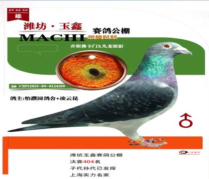 ��˹���ž���404��