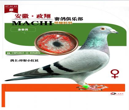 ɽ����ͮС���-ѡ�Ͱ�������