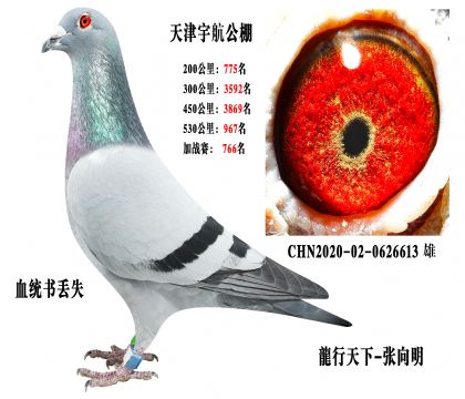 ���־������-��������-����������