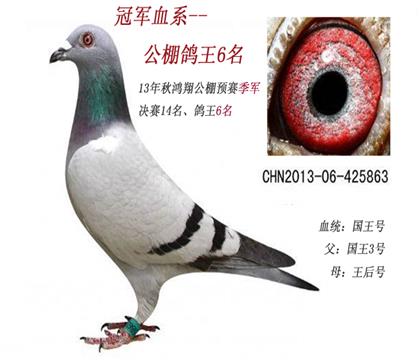 �Ƹ���һ���＾��