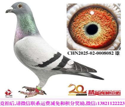 �Ǳ���������׸��Ž��׻�Ѫ