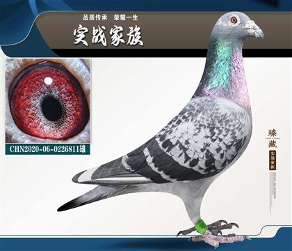 �������� ������ɭ˹���ƽ�ԡ�