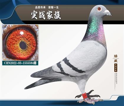 �ӱ���������ѡ��� ��������