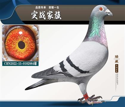 ���䱦��ҵ �����ºض���˹003��X��Ů