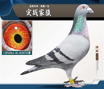 ��ȫ���͡���������