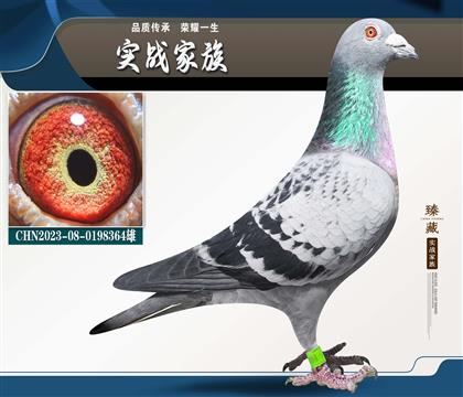 ���Ҿ��ܸɻ��ý��ʷǳ��ߵĸ���