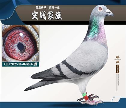 ����728X�ش��� ��ȥ�����ܱ��׵ĸ���