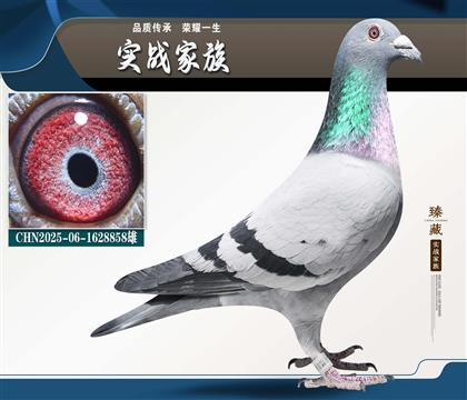 ����278ֱ�� ����ӮǮϵ