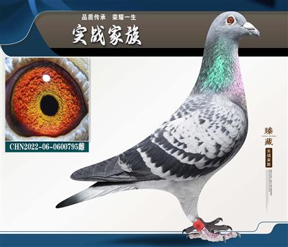 ���� ����ӥ��