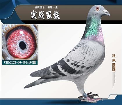 ����֮�� ˫��ͼ��˹003