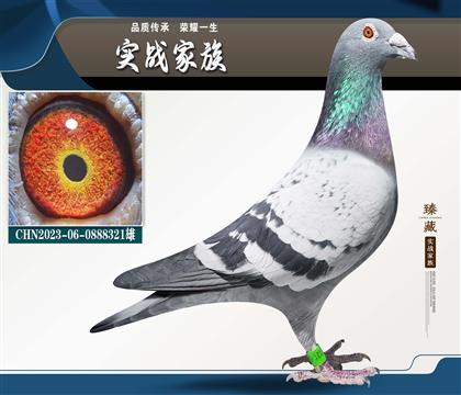 ָ�������  ����һ����