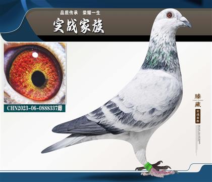 ��Ԫָ����Դ�