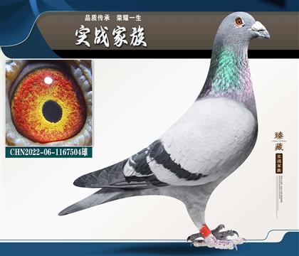 ���ݻԻ������λ ���ݺ������