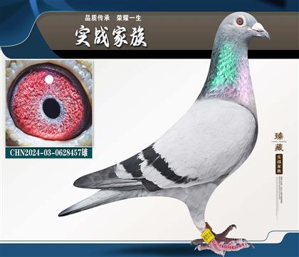 ���� ղɭ���˹