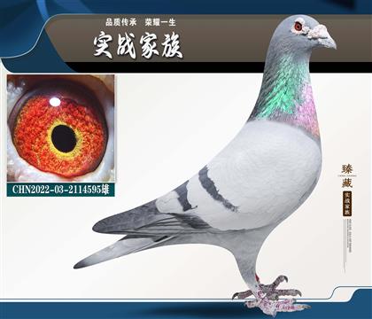 ������֮һ���Ǳȳ�������ŷ