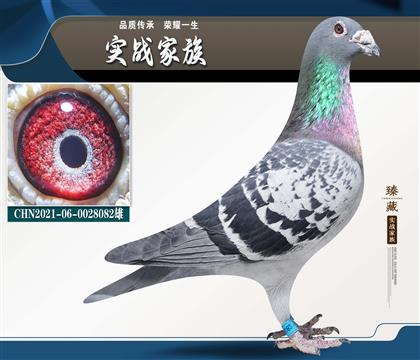 �ø��ӱ���� �����ϲ�����ī�ƶ��ɡ�