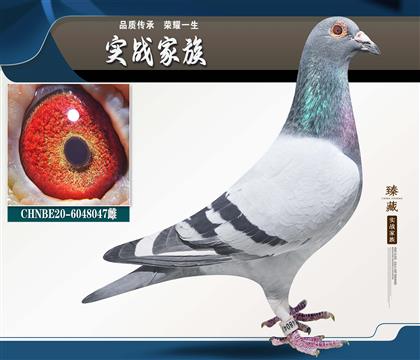 ���.���µ�ԭ�� ������������