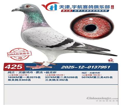 �����������425��