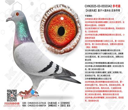 ������ֱ�ӡ�ֱ��Ů ��������